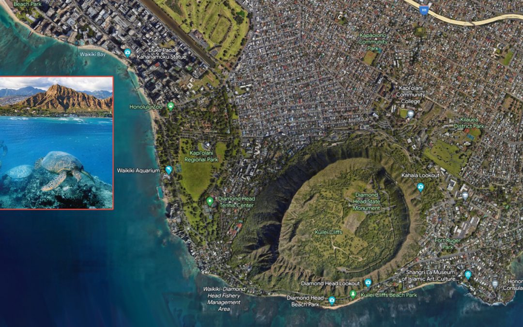 Where is Turtle Canyon in Waikiki, Oahu?