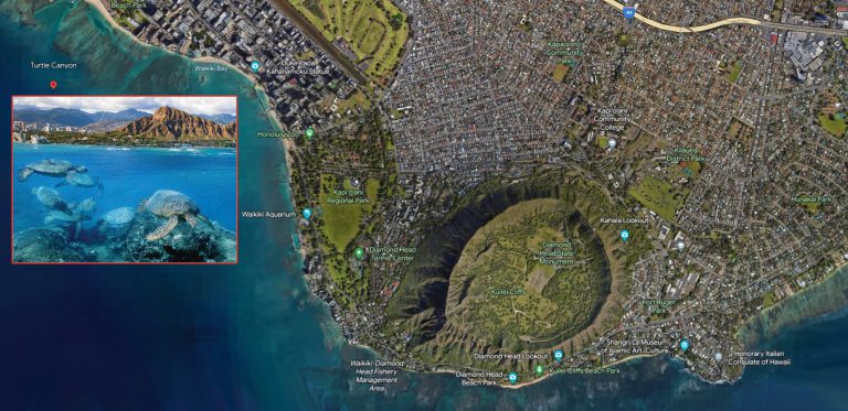 Where is Turtle Canyon in Waikiki, Oahu?