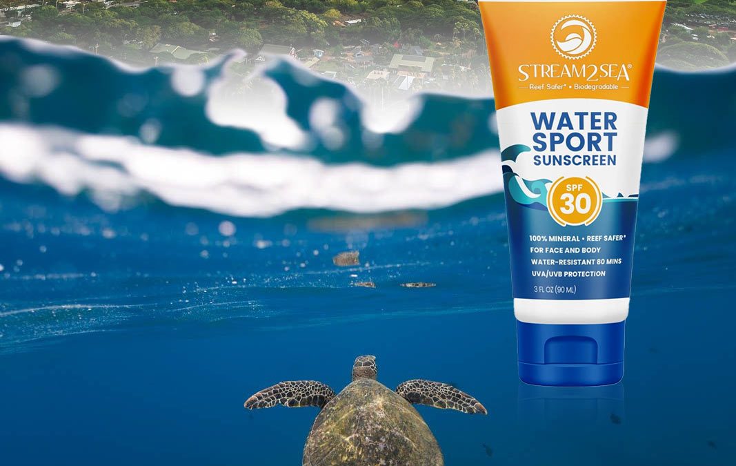 What sunscreen or sunblock is safe for Sea Turtles?