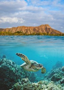 How deep is Turtle Canyon?