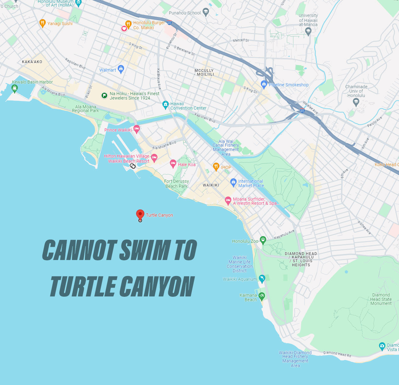 Can you swim to Turtle Canyon from Oahu?