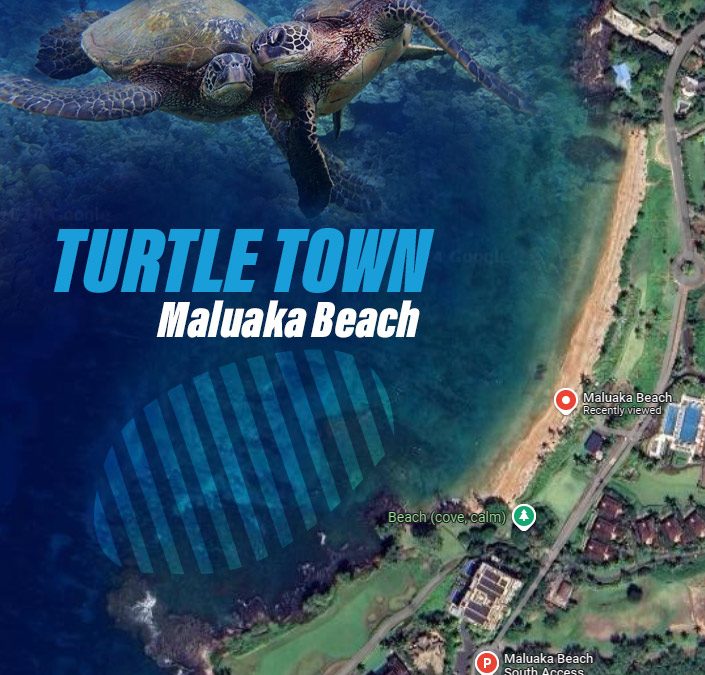 Where is Turtle Town (or Coral Gardens) located in Maui?