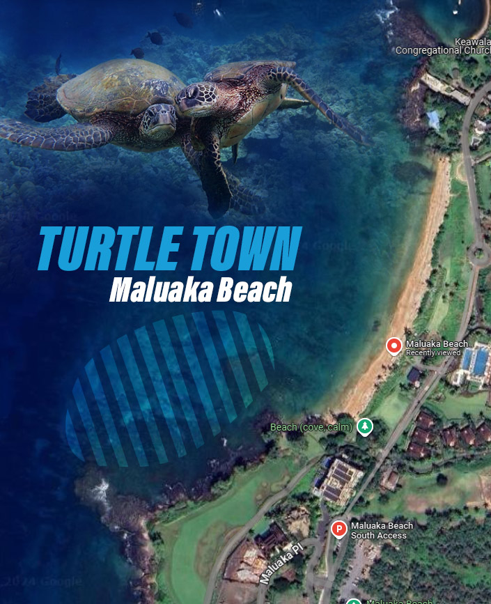 Where is Turtle Town (or Coral Gardens) located in Maui?