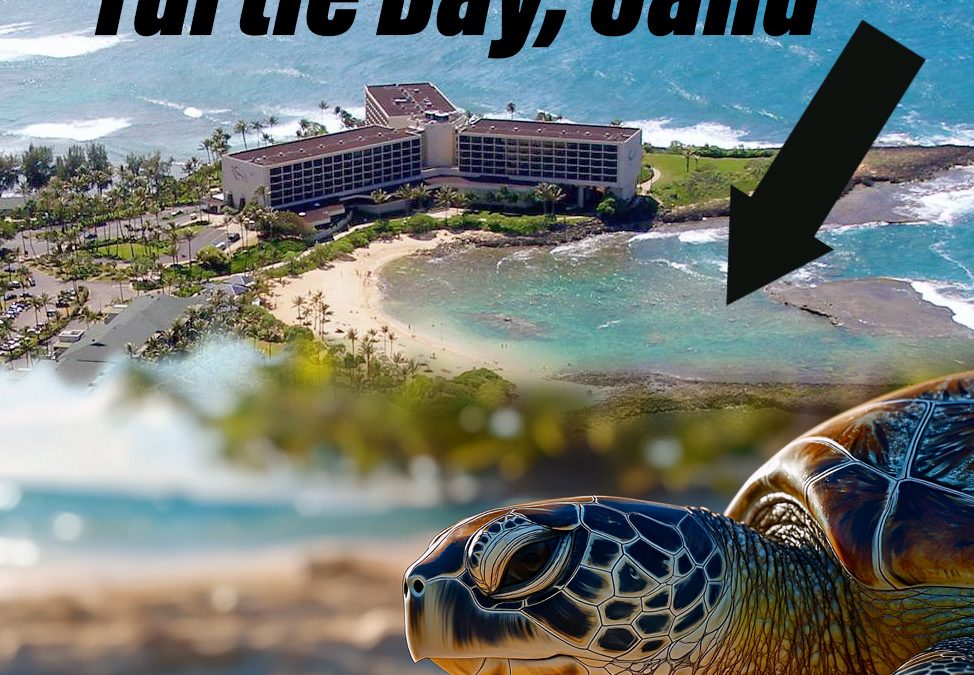 Is there good snorkeling at Turtle Bay, Oahu?