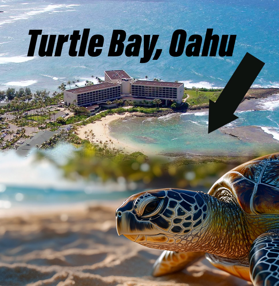 Is there good snorkeling at Turtle Bay, Oahu?