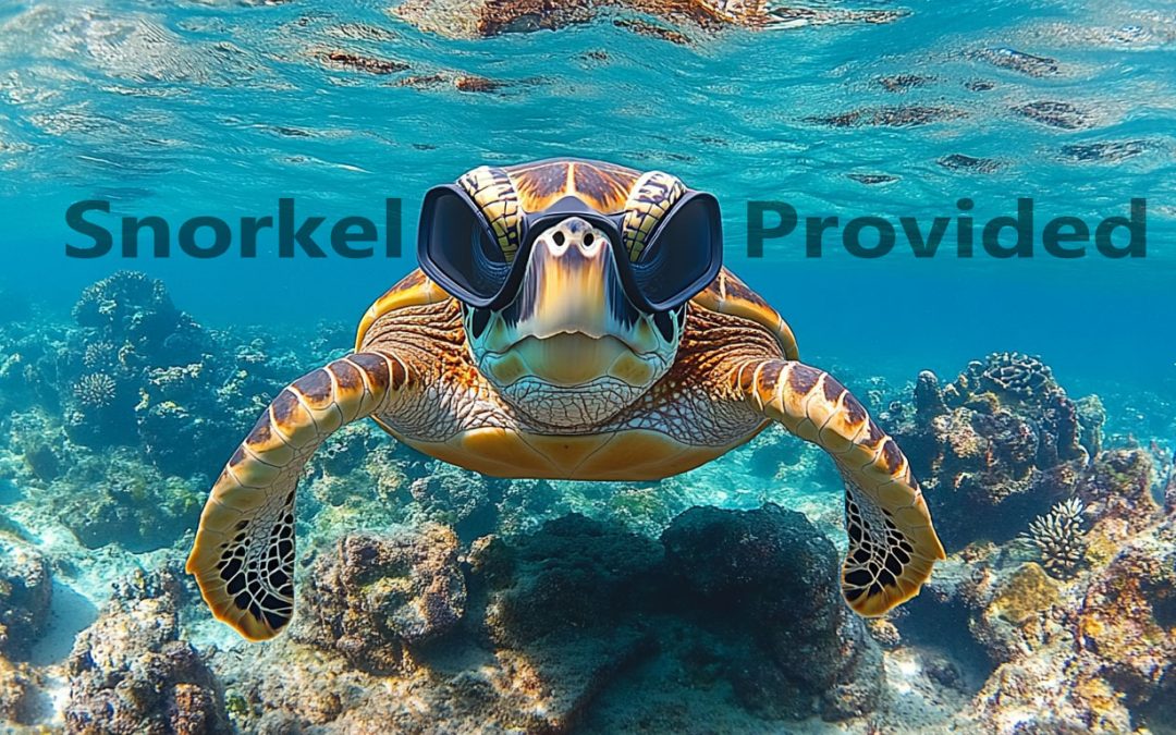 Do You Need to Bring Your Own Snorkeling Gear at Turtle Canyon?