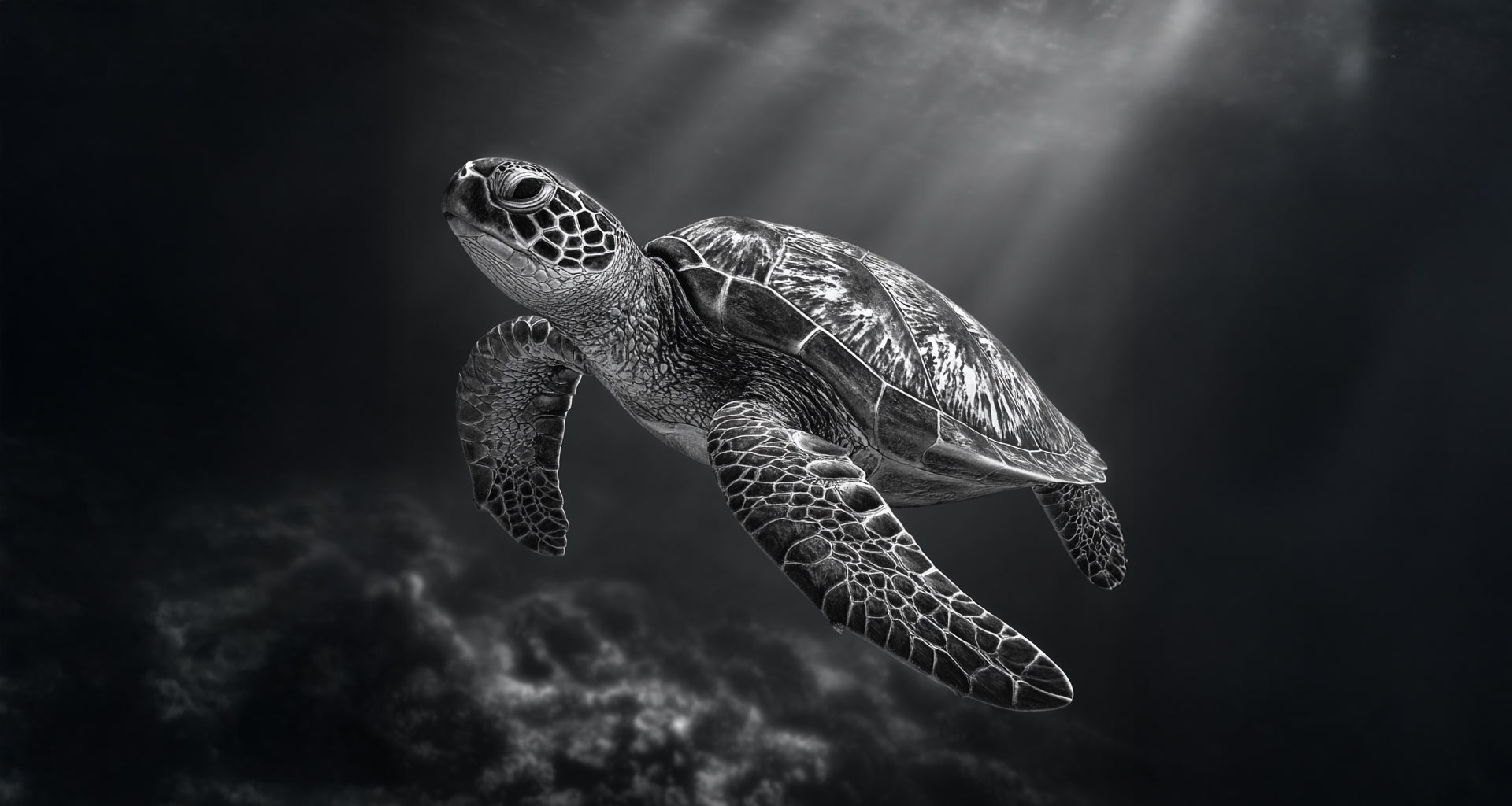 Are You Stressing Out the Sea Turtles? What Snorkelers Should Know in 2026