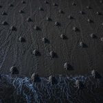 Millions of Sea Turtles, One Beach, One Night: The Olive Ridley Story