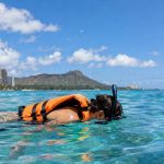 Seven Things Nobody Tells You Before Your First Turtle Snorkeling Oahu Tour
