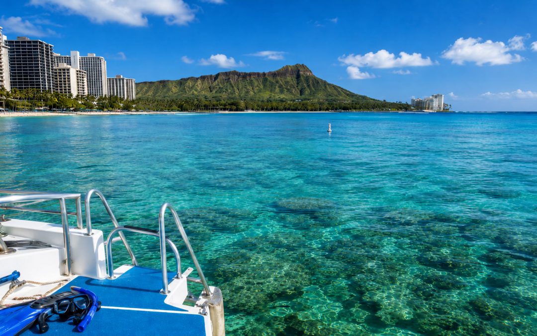 Snorkel With Sea Turtles Under Diamond Head And The Waikiki Skyline