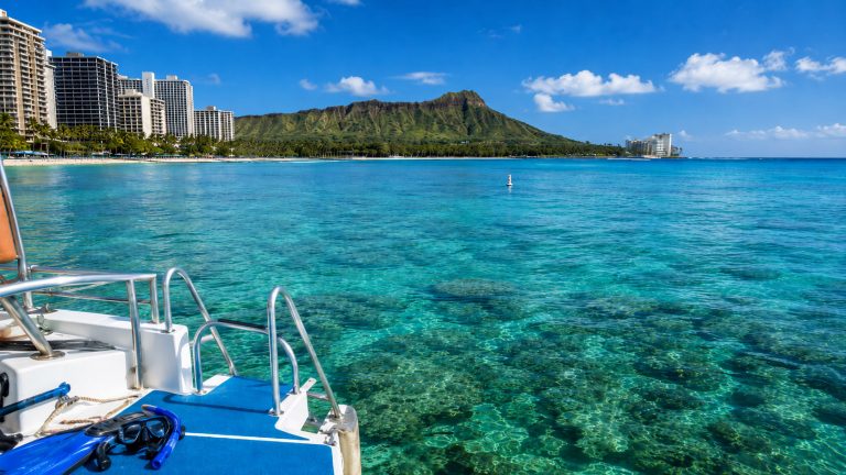 Snorkel With Sea Turtles Under Diamond Head And The Waikiki Skyline