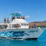 What to Expect on Your First Oahu Turtle Snorkeling Tour