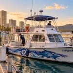 How Far in Advance Should You Book a Turtle Tour on Oahu?
