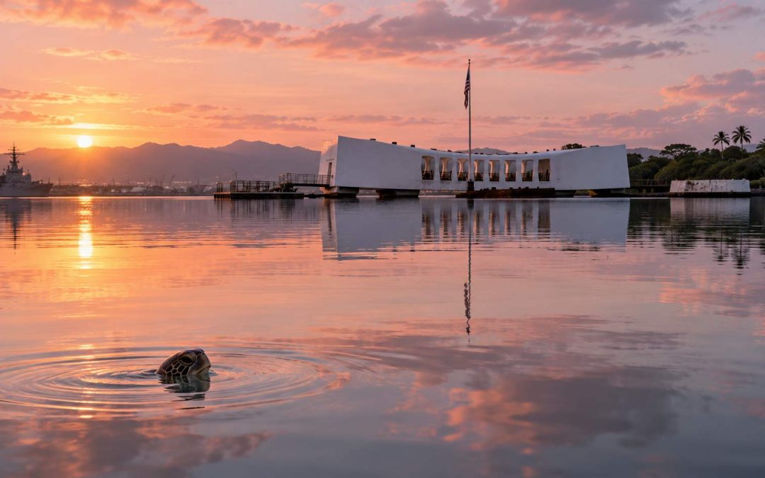 Are There Sea Turtles in Pearl Harbor?