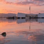 Are There Sea Turtles in Pearl Harbor?