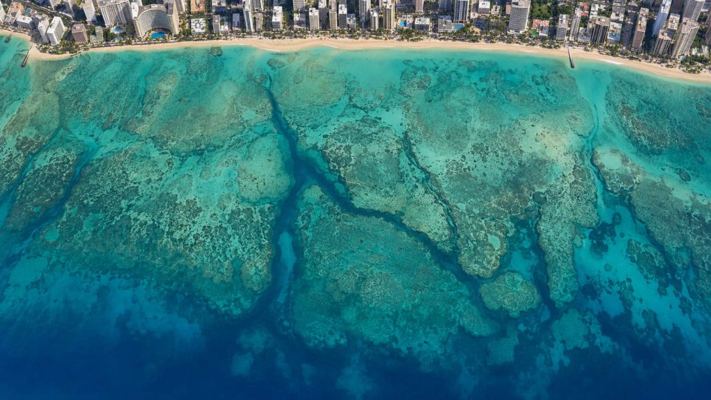 Why Is There a Canyon Off Waikiki? How Turtle Canyon Oahu Formed