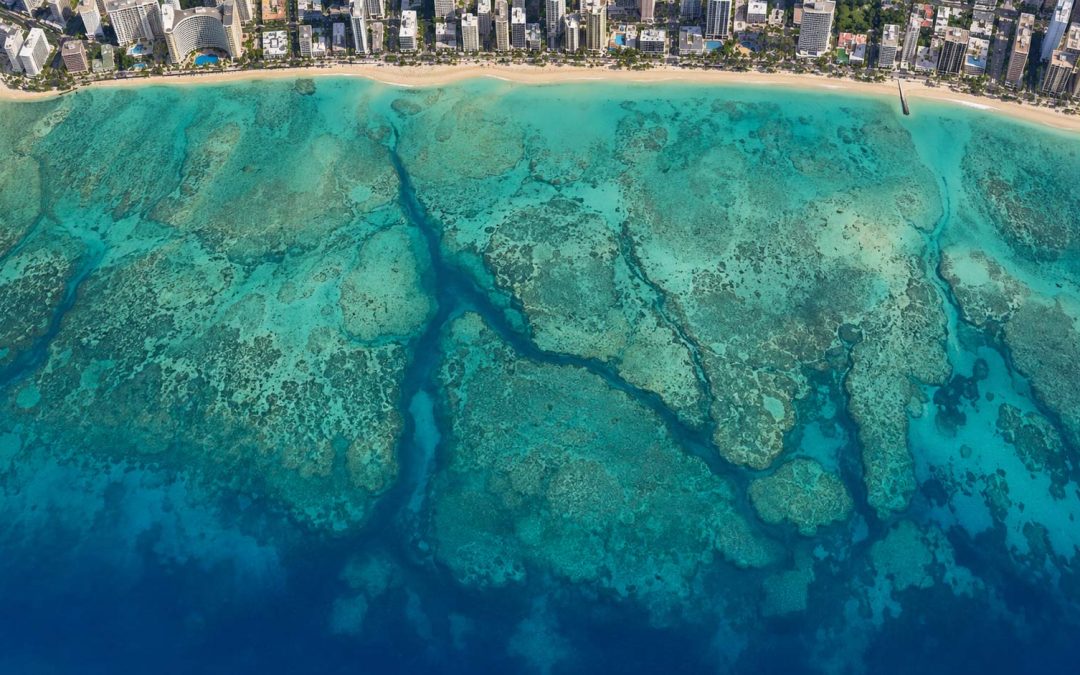 Why Is There a Canyon Off Waikiki? How Turtle Canyon Oahu Formed