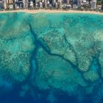 Why Is There a Canyon Off Waikiki? How Turtle Canyon Oahu Formed