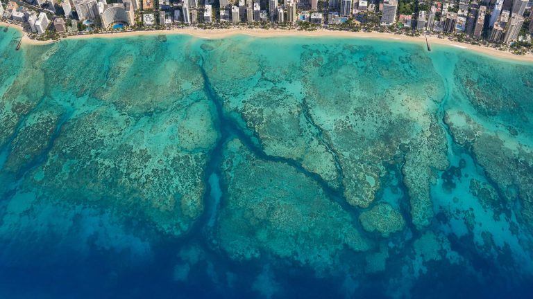 Why Is There a Canyon Off Waikiki? How Turtle Canyon Oahu Formed